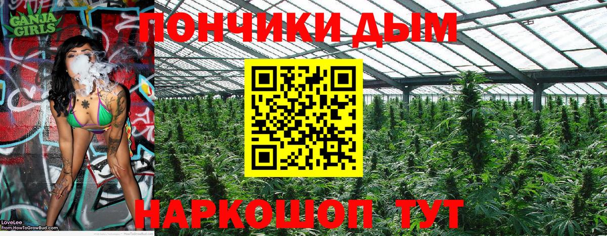 Зеленогорск  МАРИХУАНА сатива  Шишки марихуана конопля  Вход с VPN  Бошки Шишки SATIVA & INDICA 